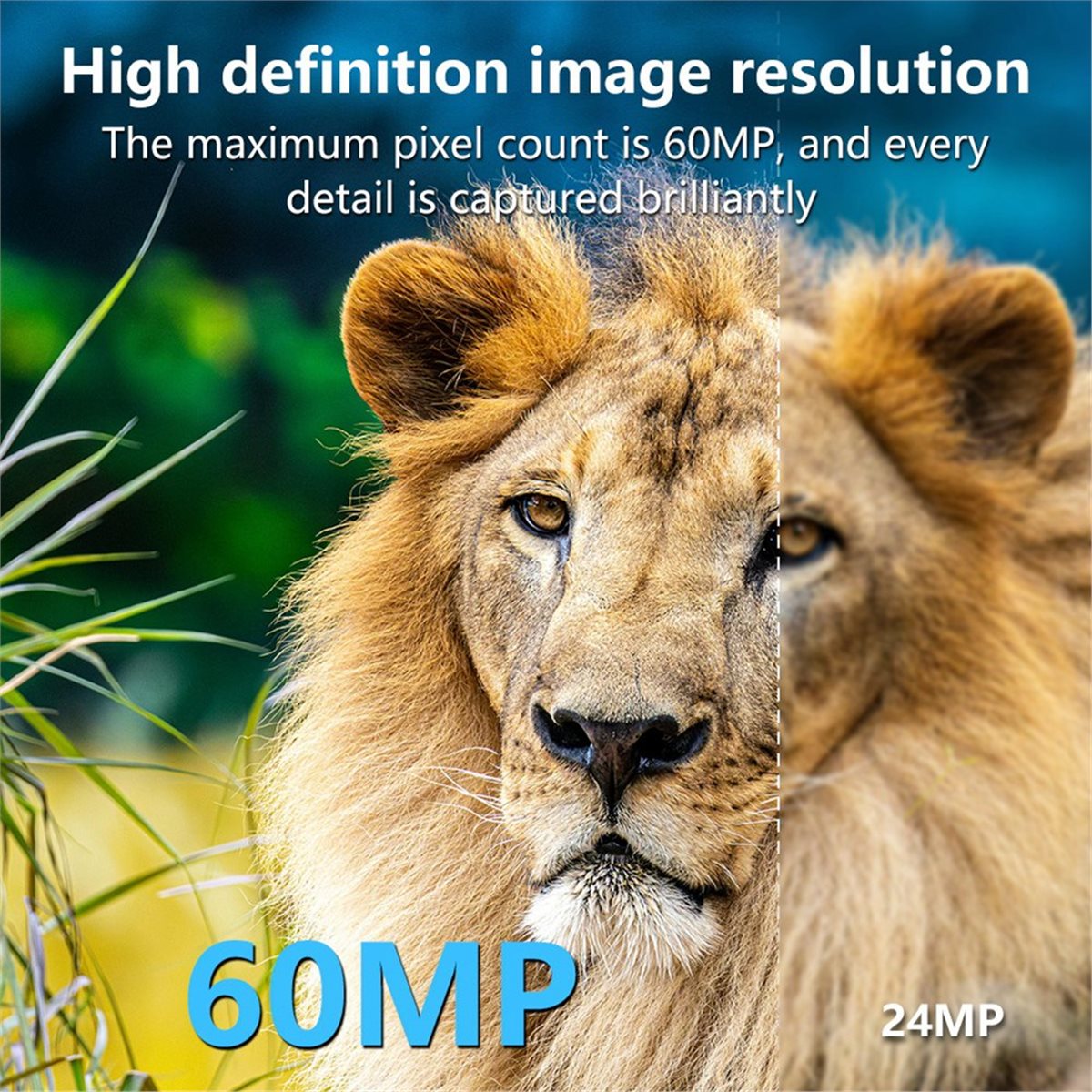 Outdoor Hunting Camera Wifi - AS62 8K Jachtcamera HD Wildlife WIFI