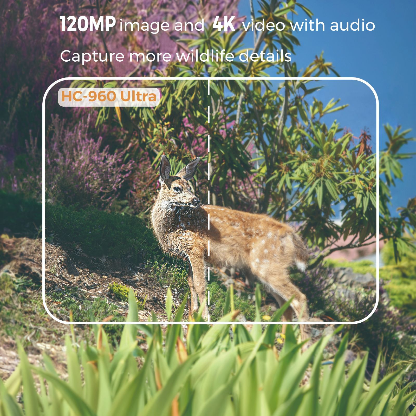 Outdoor 4K Video 120MP Foto 4G - Hunting Outdoor Camera recensie en prijs