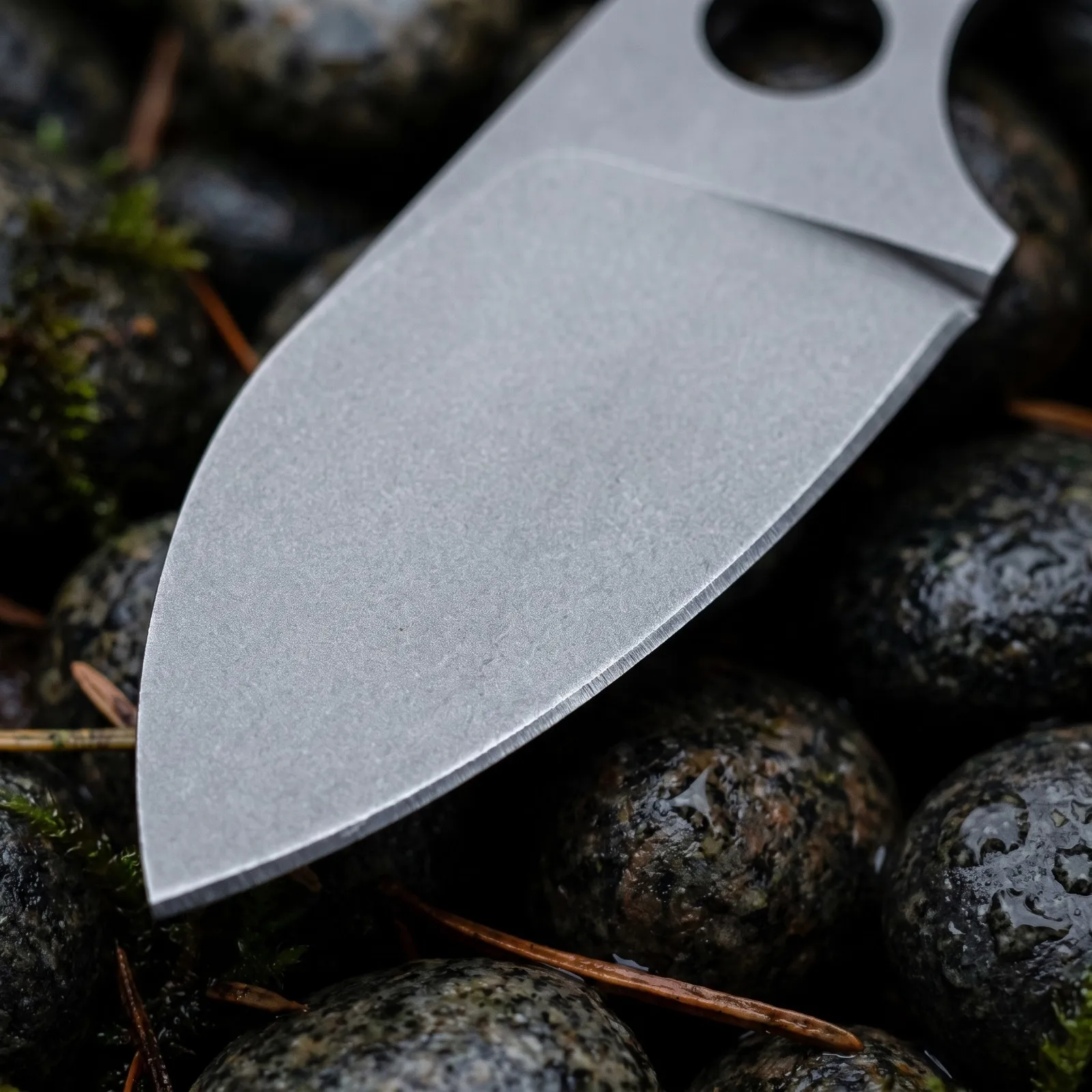 Full-Tang roestvrijstalen EDC  - Knife Hunting Fixed Blade recensie en prijs