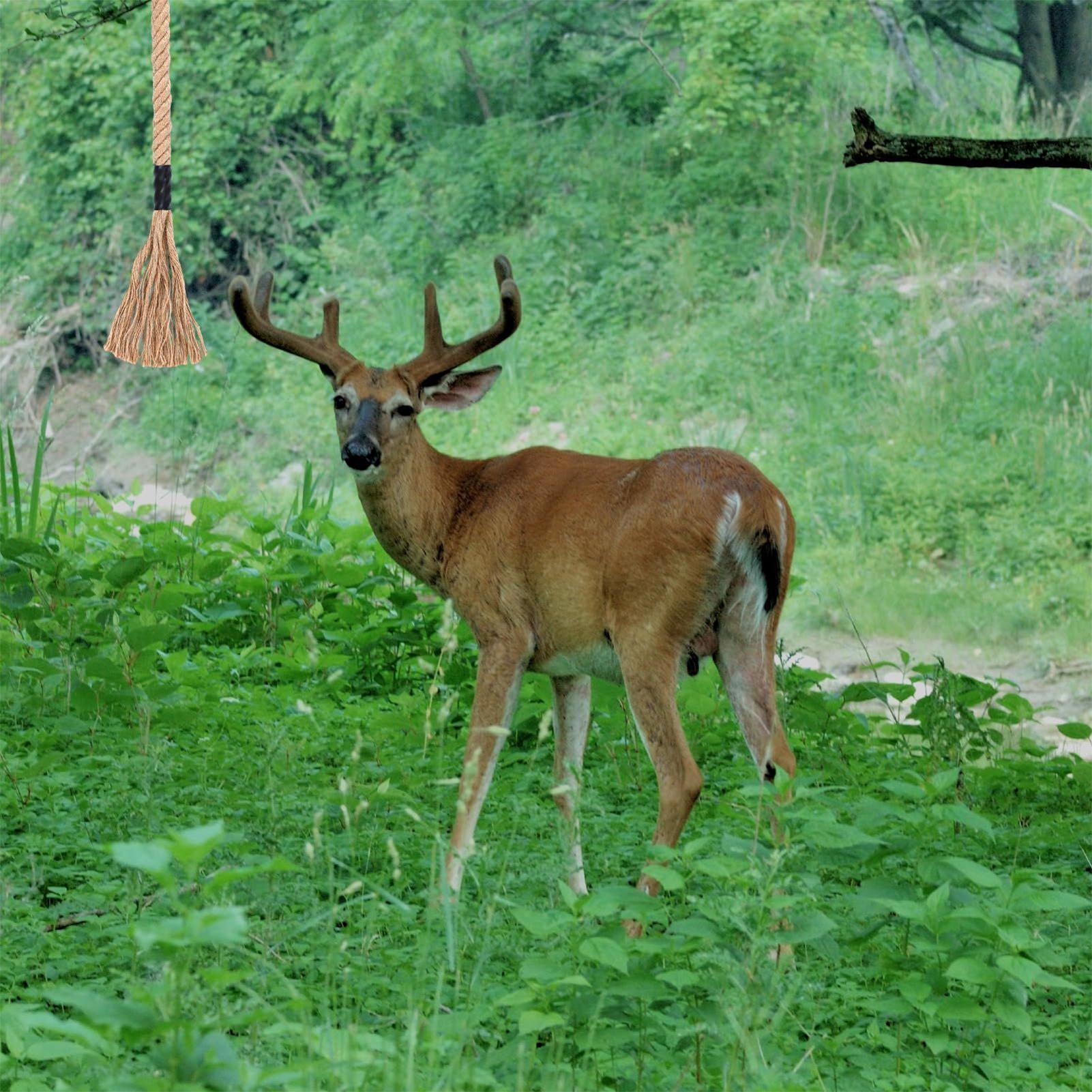 Herten Schrapen Effectieve Lan - Deer Attractant Scent recensie en prijs