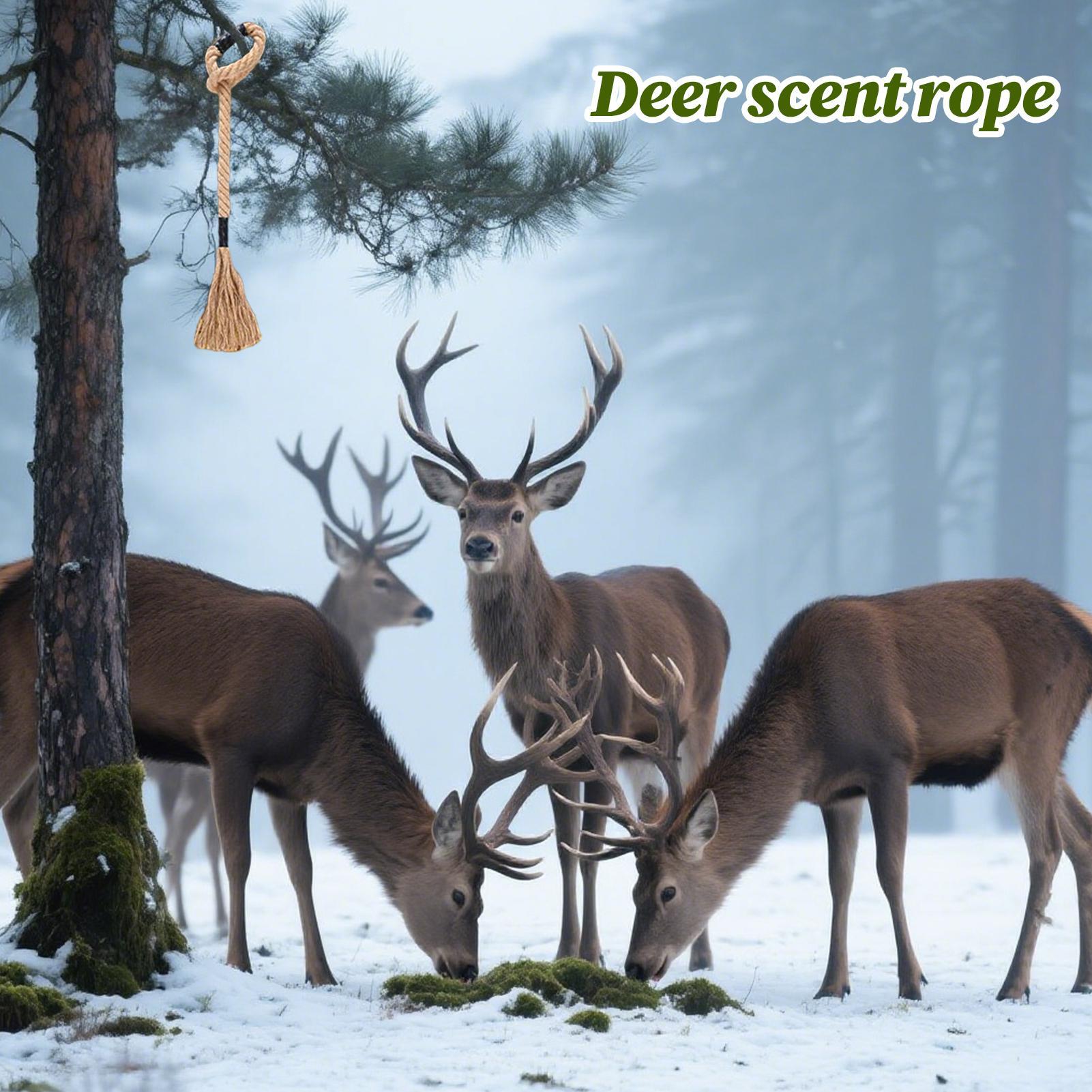 Herten Schrapen Effectieve Lan - Deer Attractant Scent recensie en prijs