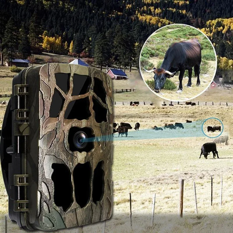 H982 IP66 Waterdichte 4K Outdo - Hunting Outdoor Camera recensie en prijs